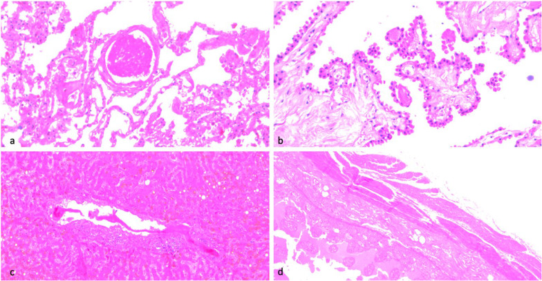 Fig. 8