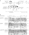 Figure 3.
