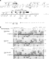 Figure 4.