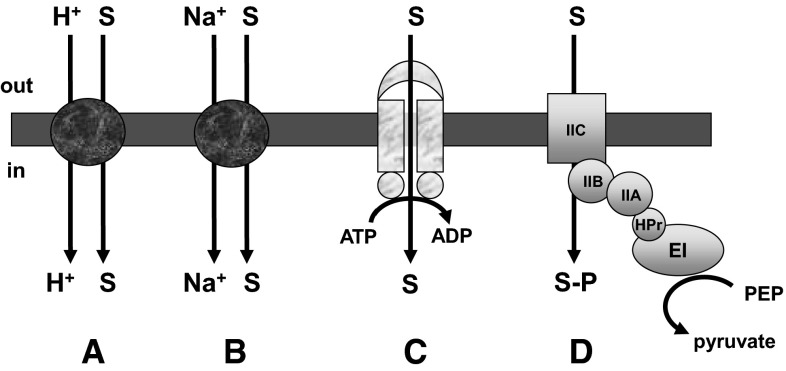 Fig. 1