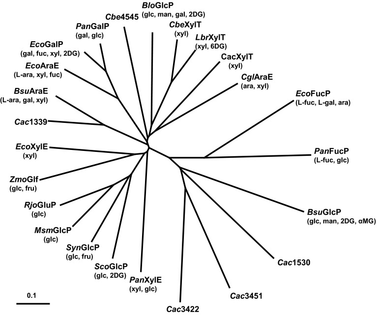 Fig. 2