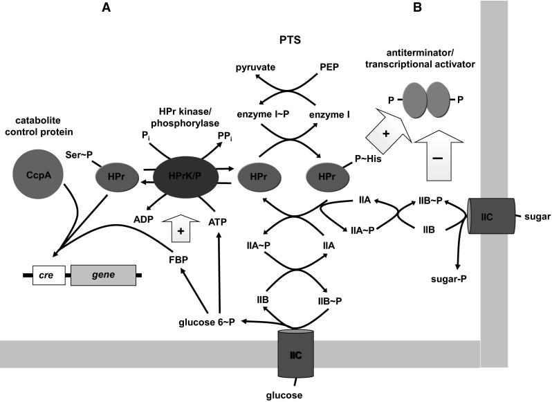 Fig. 3