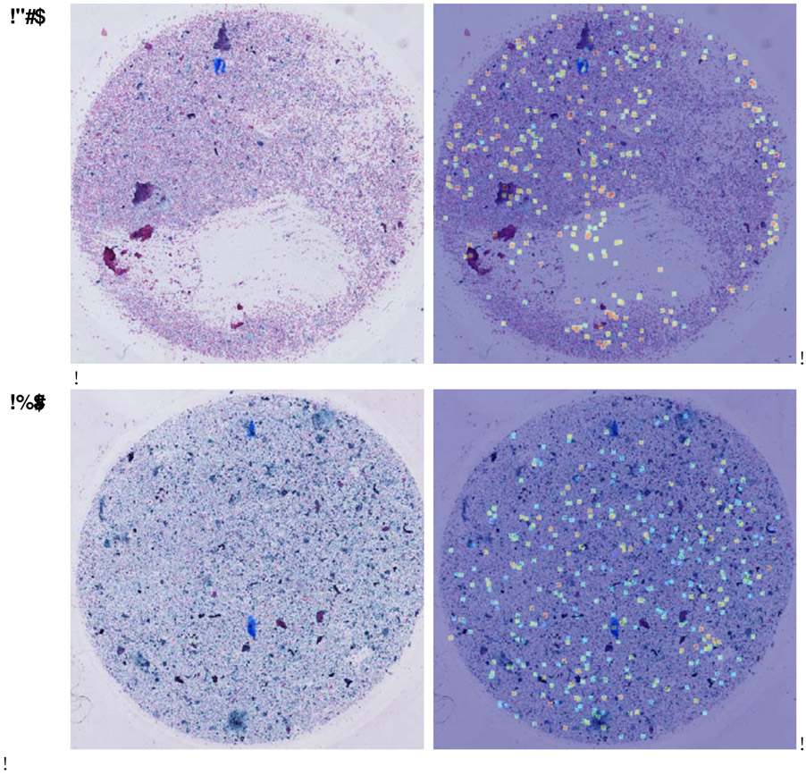 Figure 10: