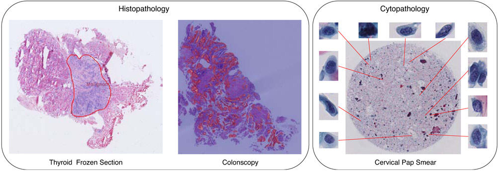 Figure 1: