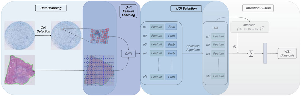 Figure 2: