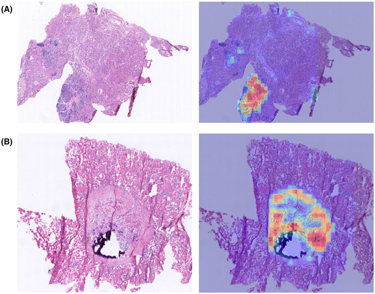 Figure 5: