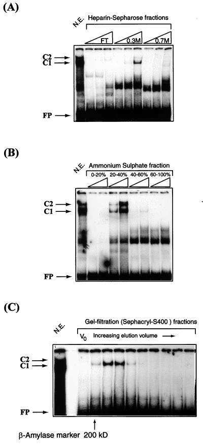 FIG. 5