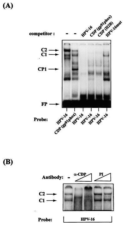 FIG. 6