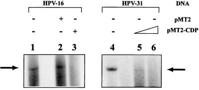 FIG. 8