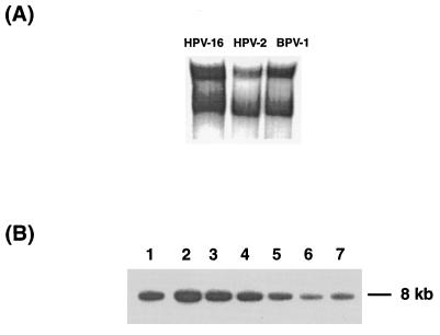 FIG. 9