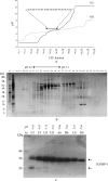 F<sc>ig</sc>. 2.