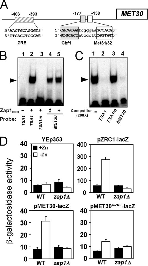 FIGURE 4.