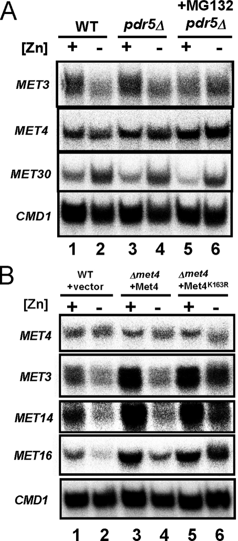 FIGURE 7.