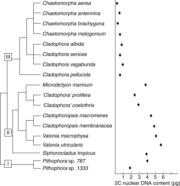 Fig. 10.