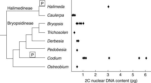 Fig. 8.