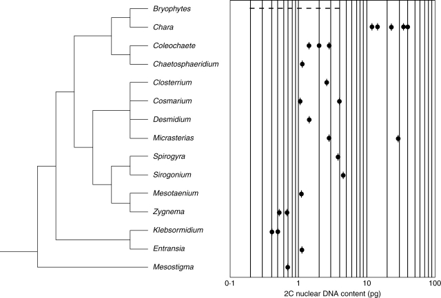 Fig. 11.