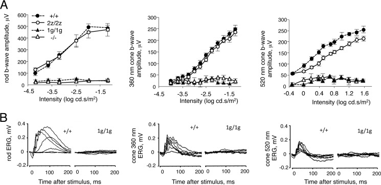 FIGURE 5.