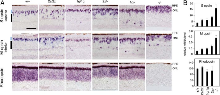 FIGURE 4.