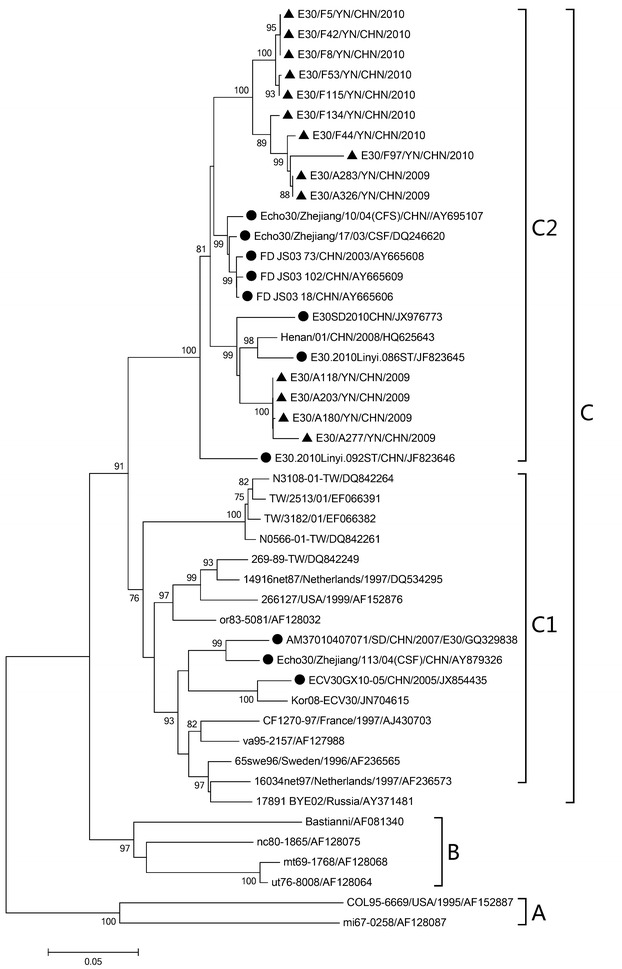 Fig. 3