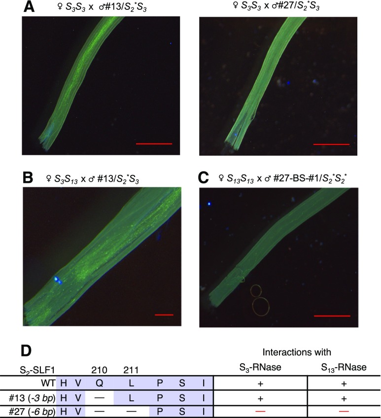 Figure 7.