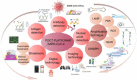 Image, graphical abstract