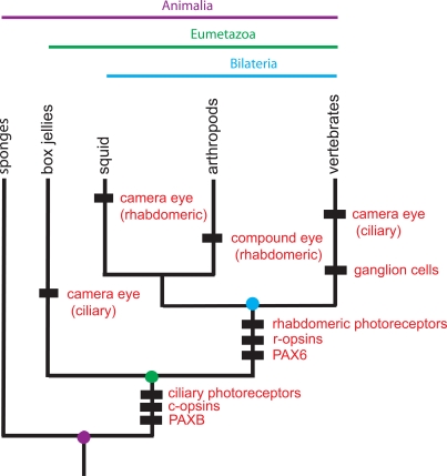 Fig. (4) 