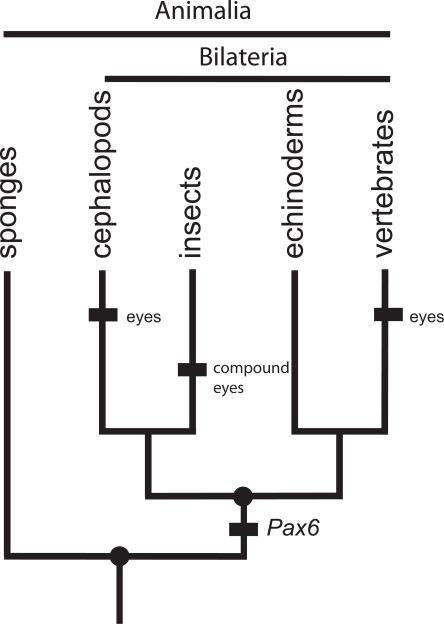 Fig. (1).