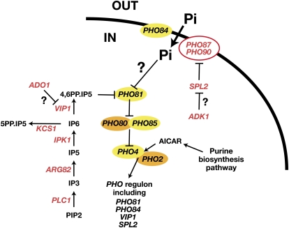 Figure 16 