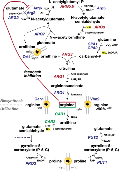 Figure 5 