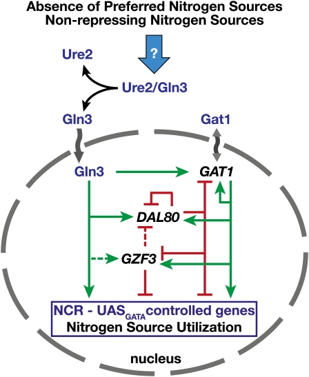 Figure 3 