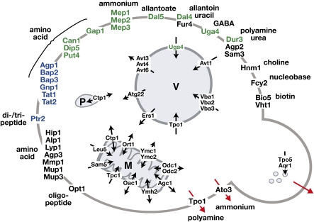 Figure 12 