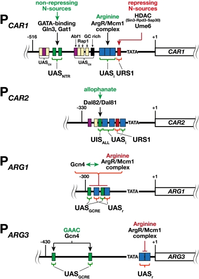 Figure 6 