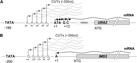 Figure 14 