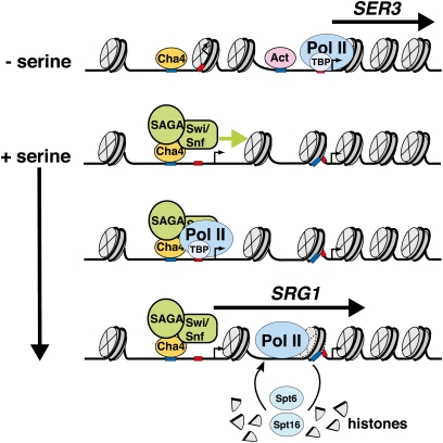 Figure 10 