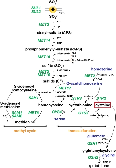 Figure 9 