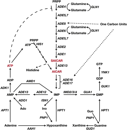 Figure 15 