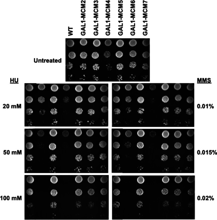 FIGURE 7.