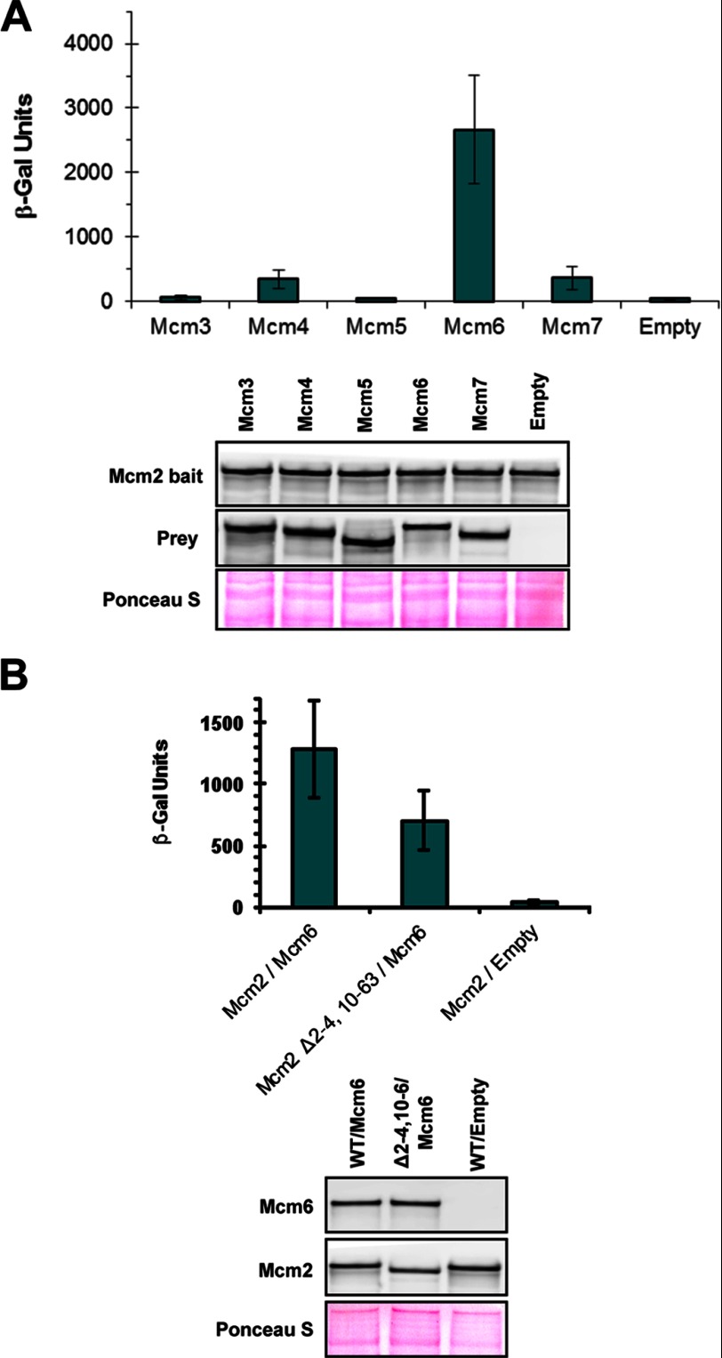 FIGURE 3.