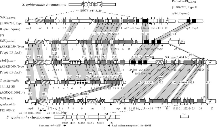 Fig 1