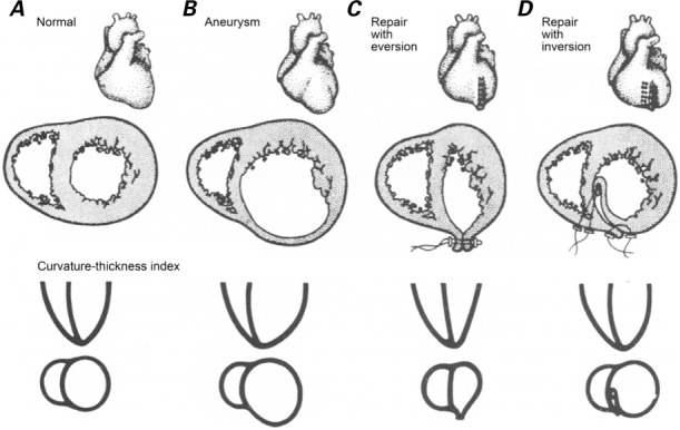 Fig. 3.