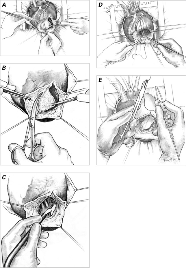 Fig. 4.