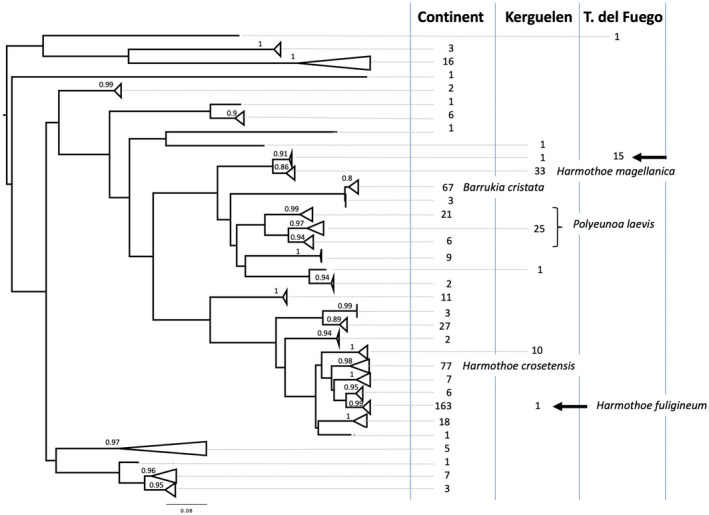 FIGURE 3