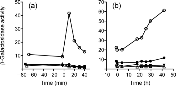 Fig. 5.