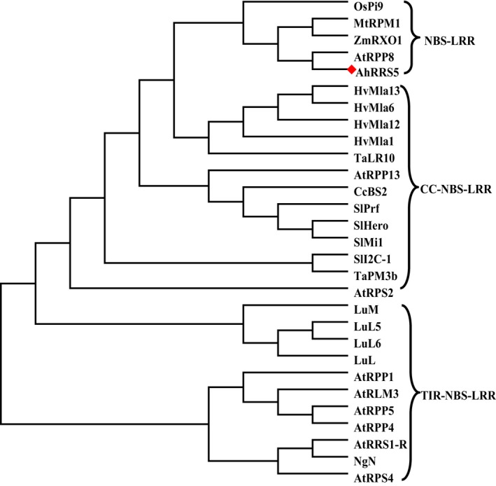 Figure 2