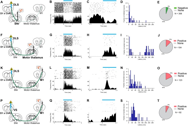 Figure 5—figure supplement 2.