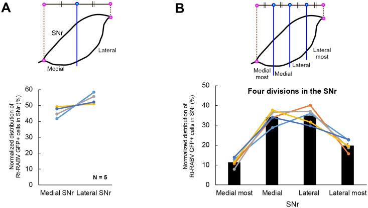 Figure 3—figure supplement 1.