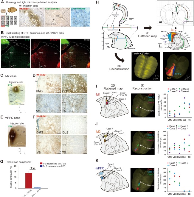 Figure 1—figure supplement 2.