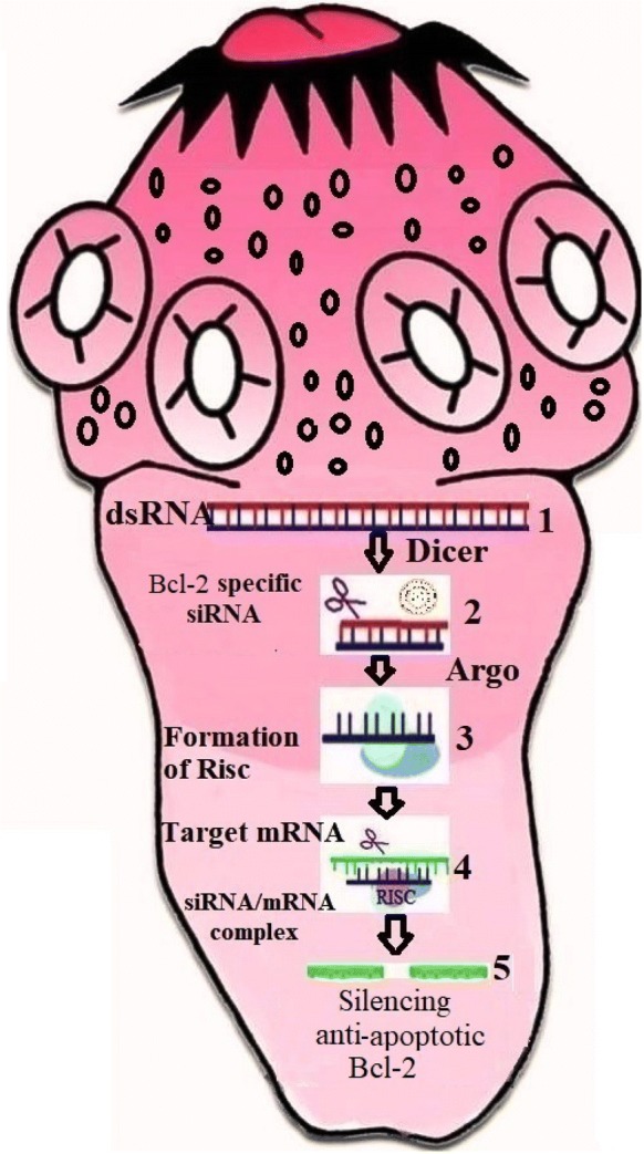 Fig. 2