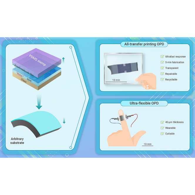 graphic file with name fx1.jpg