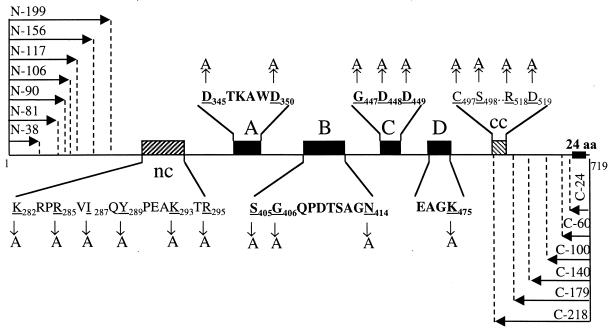 FIG. 7